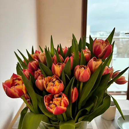 Διαμέρισμα Altoria Active Γκντίνια