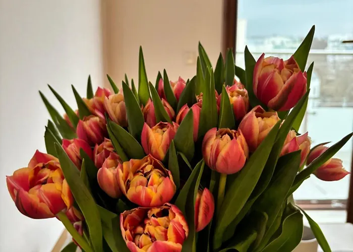 Apartment Altoria Active Gdynia